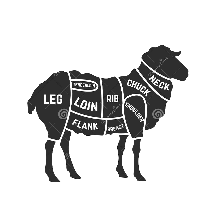 Diagram of a lamb